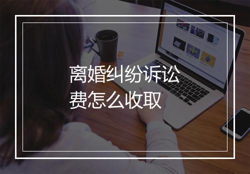 离婚纠纷诉讼费怎么收取