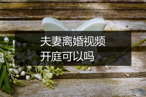 夫妻离婚视频开庭可以吗