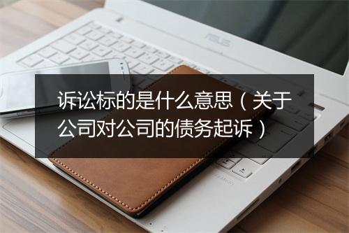 诉讼标的是什么意思（关于公司对公司的债务起诉）