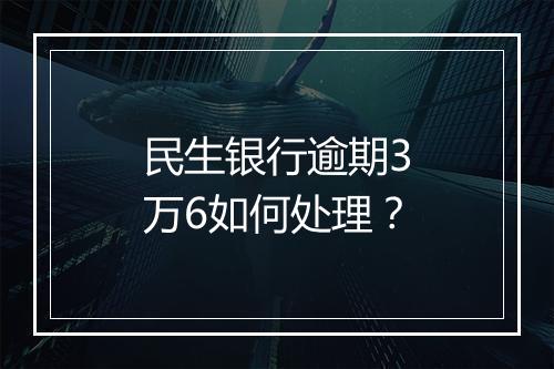 民生银行逾期3万6如何处理？