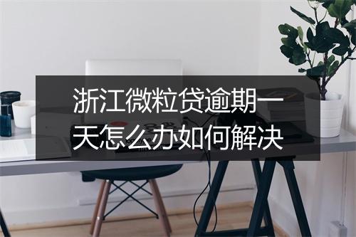 浙江微粒贷逾期一天怎么办如何解决