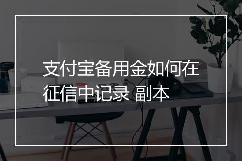 支付宝备用金如何在征信中记录 副本