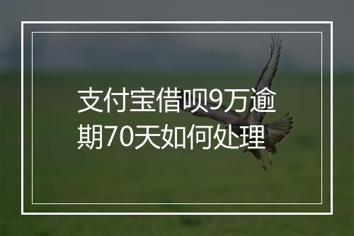 支付宝借呗9万逾期70天如何处理