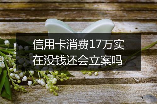 信用卡消费17万实在没钱还会立案吗