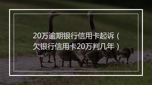 20万逾期银行信用卡起诉（欠银行信用卡20万判几年）