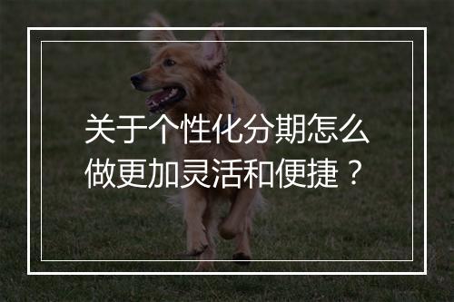 关于个性化分期怎么做更加灵活和便捷？