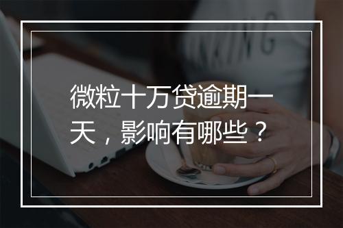微粒十万贷逾期一天，影响有哪些？
