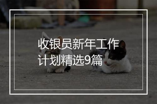 收银员新年工作计划精选9篇