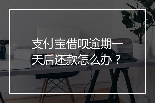 支付宝借呗逾期一天后还款怎么办？