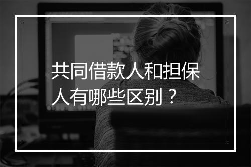 共同借款人和担保人有哪些区别？