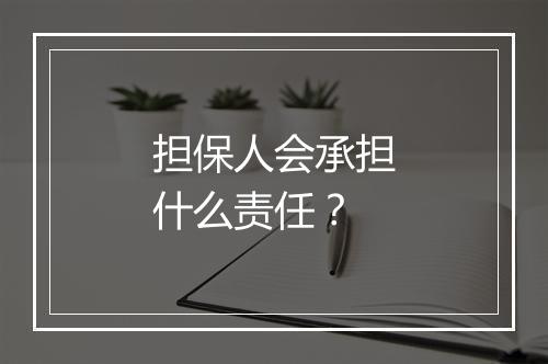 担保人会承担什么责任？