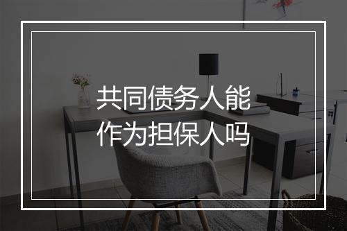 共同债务人能作为担保人吗