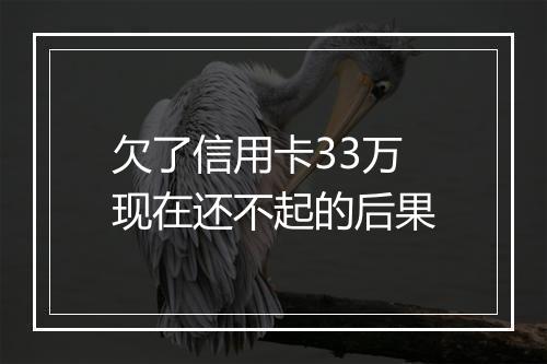 欠了信用卡33万现在还不起的后果