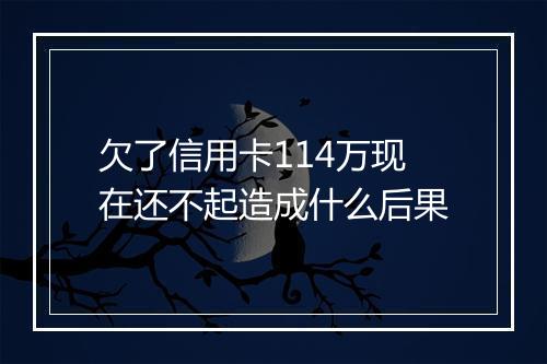 欠了信用卡114万现在还不起造成什么后果