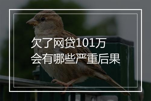 欠了网贷101万会有哪些严重后果