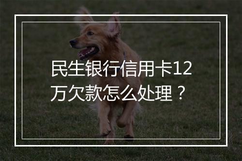 民生银行信用卡12万欠款怎么处理？