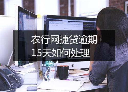 农行网捷贷逾期15天如何处理