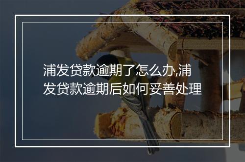 浦发贷款逾期了怎么办,浦发贷款逾期后如何妥善处理
