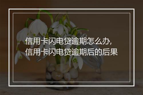 信用卡闪电贷逾期怎么办,信用卡闪电贷逾期后的后果