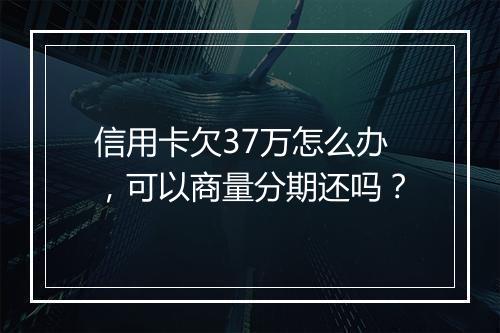 信用卡欠37万怎么办，可以商量分期还吗？