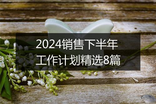 2024销售下半年工作计划精选8篇