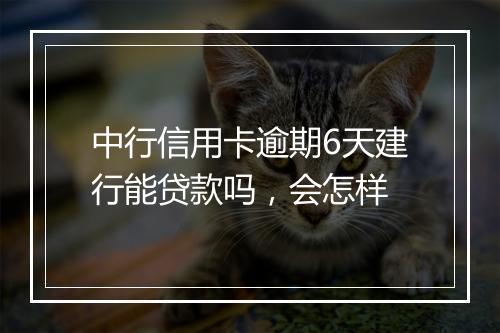 中行信用卡逾期6天建行能贷款吗，会怎样