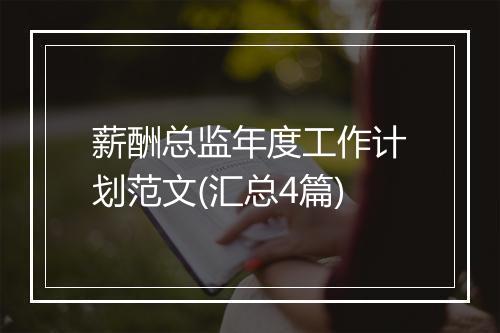 薪酬总监年度工作计划范文(汇总4篇)