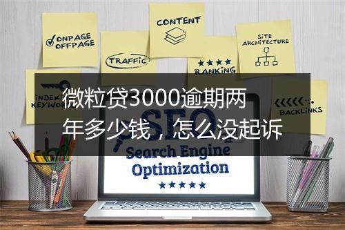 微粒贷3000逾期两年多少钱，怎么没起诉