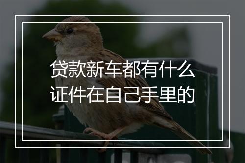 贷款新车都有什么证件在自己手里的