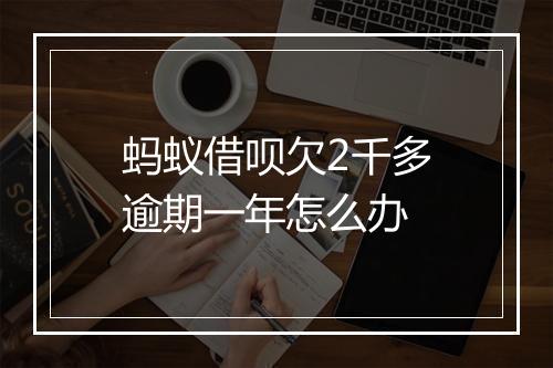 蚂蚁借呗欠2千多逾期一年怎么办