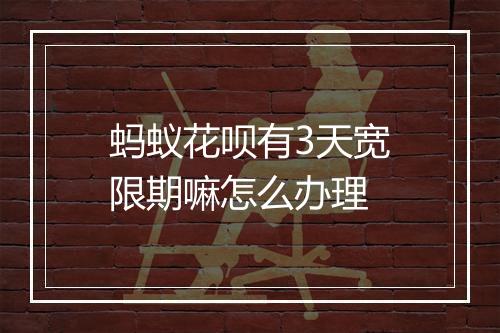 蚂蚁花呗有3天宽限期嘛怎么办理