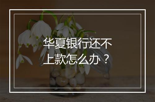 华夏银行还不上款怎么办？