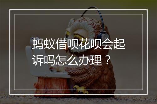 蚂蚁借呗花呗会起诉吗怎么办理？