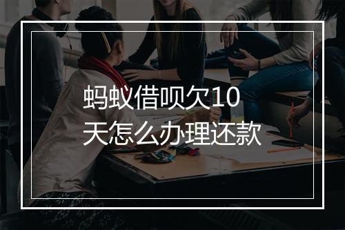 蚂蚁借呗欠10天怎么办理还款