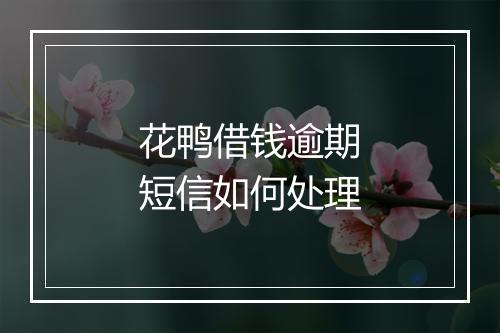 花鸭借钱逾期短信如何处理