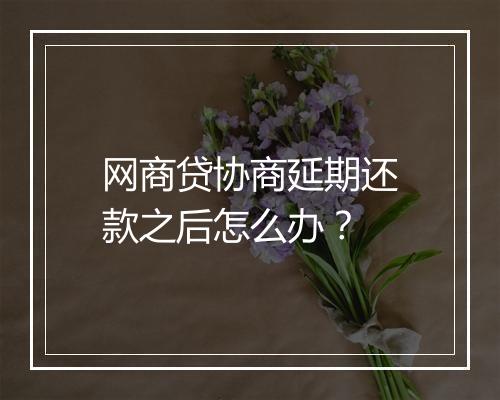 网商贷协商延期还款之后怎么办？