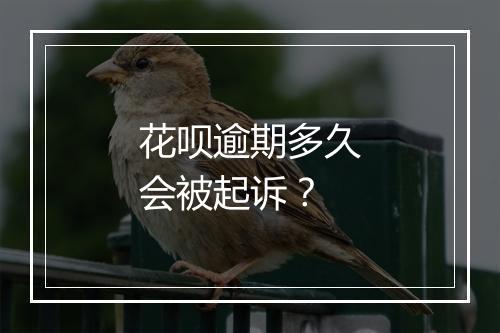 花呗逾期多久会被起诉？