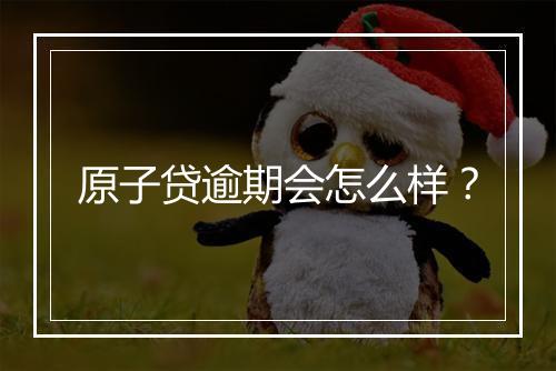原子贷逾期会怎么样？
