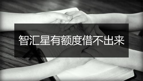 智汇星有额度借不出来
