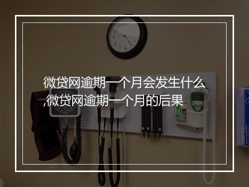 微贷网逾期一个月会发生什么,微贷网逾期一个月的后果