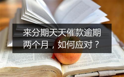 来分期天天催款逾期两个月，如何应对？
