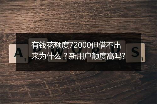 有钱花额度72000但借不出来为什么？新用户额度高吗?