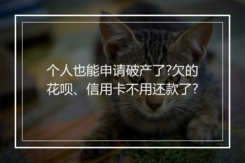 个人也能申请破产了?欠的花呗、信用卡不用还款了?