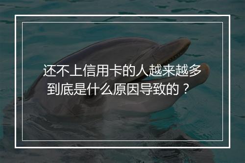 还不上信用卡的人越来越多 到底是什么原因导致的？