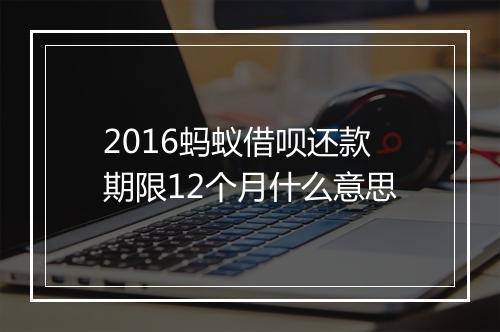 2016蚂蚁借呗还款期限12个月什么意思