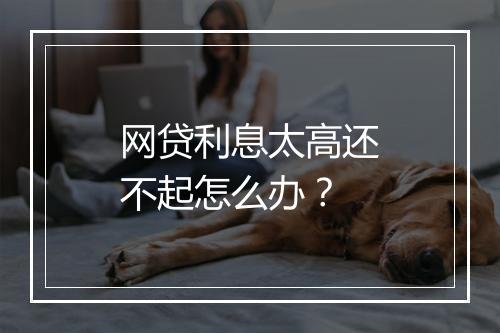 网贷利息太高还不起怎么办？