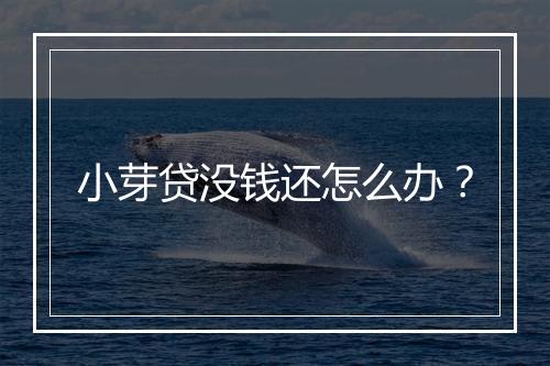 小芽贷没钱还怎么办？