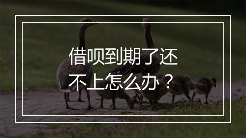 借呗到期了还不上怎么办？