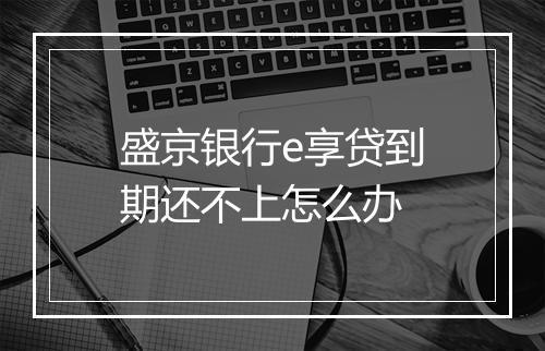 盛京银行e享贷到期还不上怎么办