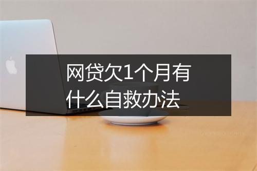 网贷欠1个月有什么自救办法